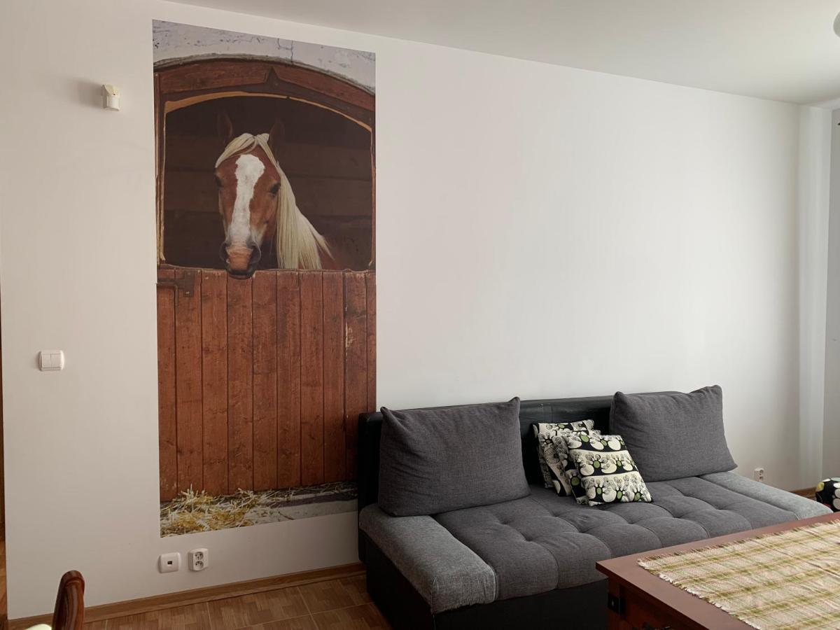 Zawsze Sloneczny Apartament Grzybowo กชึชโบโว ภายนอก รูปภาพ